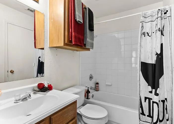 2b1b Mins From Ft Hood & Town Apartment Killeen